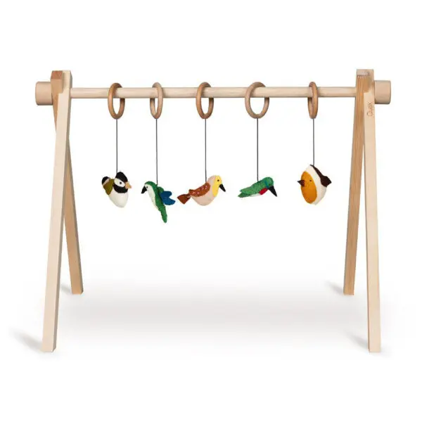 Quax - Activity Toy Set - Birds (5pcs.)