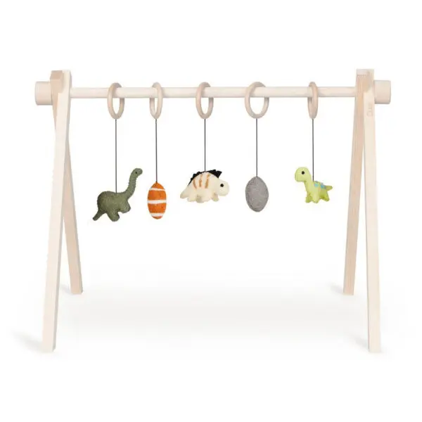 Quax - Activity Speelgoedset - Dino (5st.)