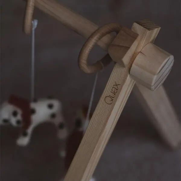 Quax - Activity Toy Set - Dogs (5pcs.)