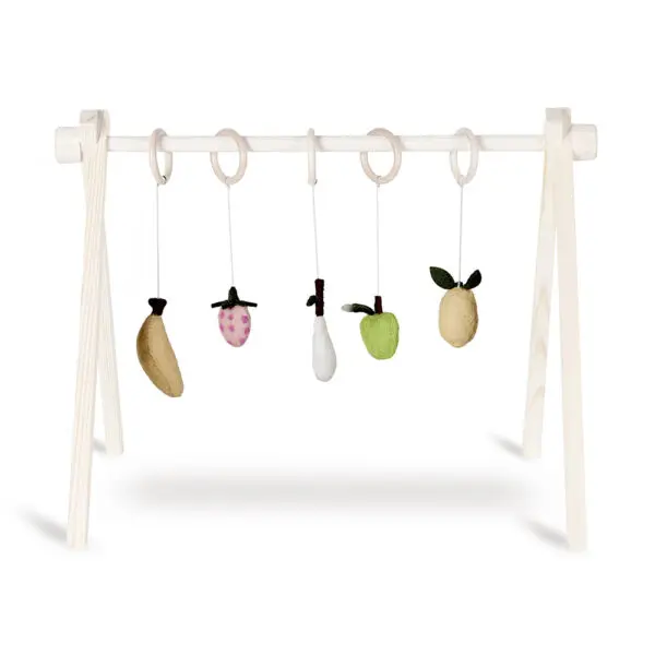 Quax - Activity Speelgoedset - Fruit (5st.)