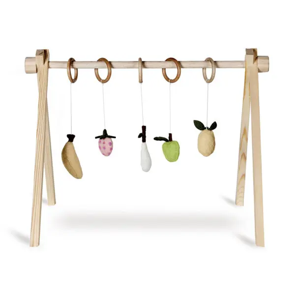 Quax - Activity Toy Set - Fruit (5pcs.)