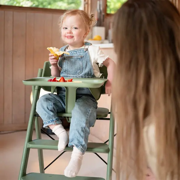 KAOS - Klapp Safety Bar & Dining Tray Bundle - Mineral Green