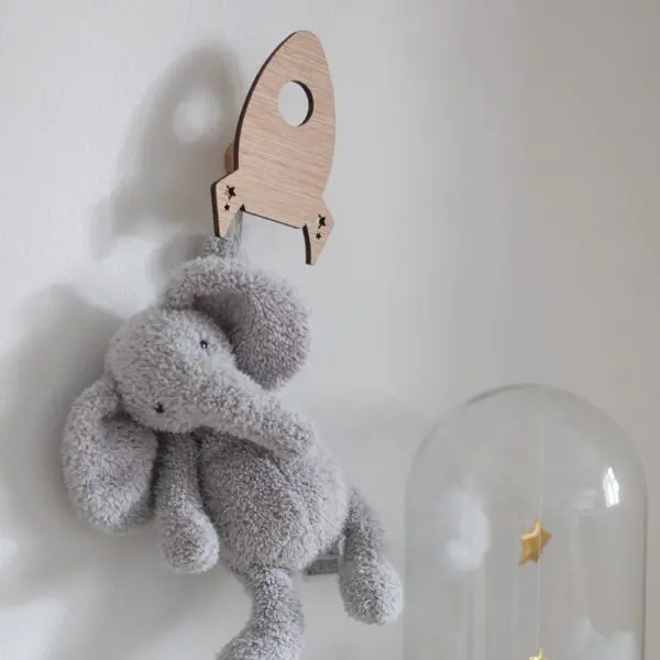 Wall Hooks