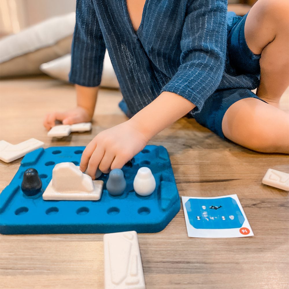 Plan Toys - Finding Penguin Game