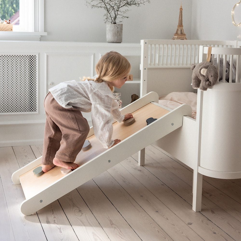 Sebra - 2-in-1 Climb & Slide