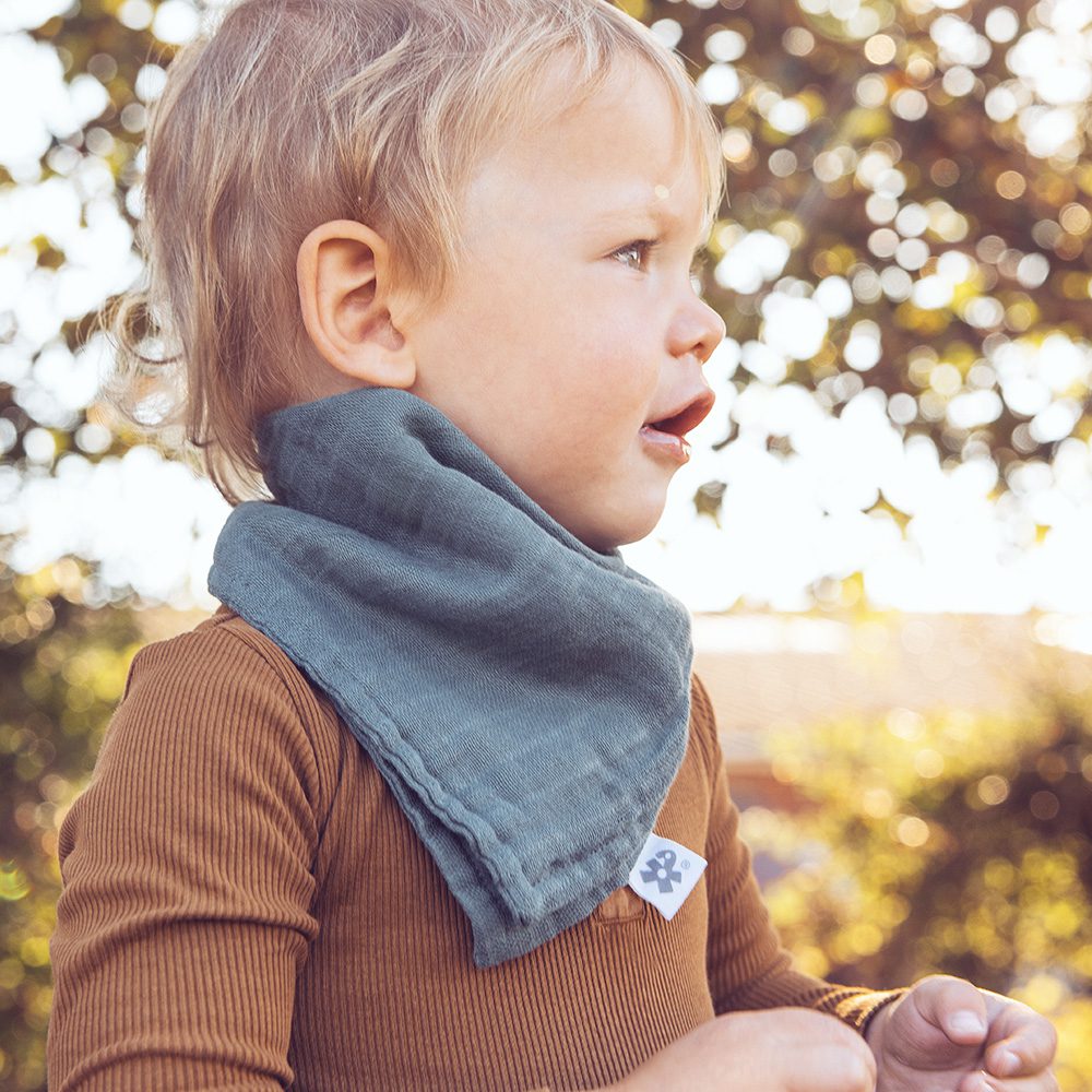Sebra - Muslin Drool Bib - blue/green (2pcs)