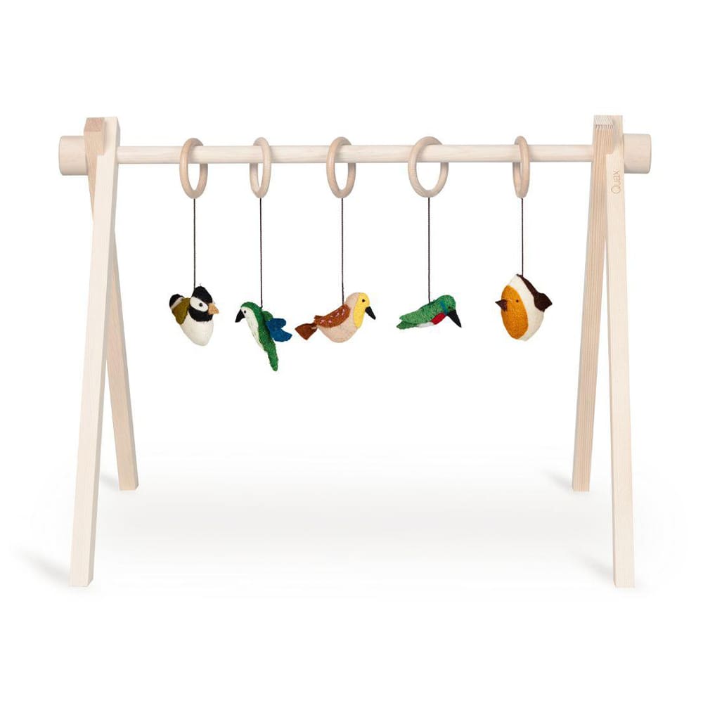 Quax - Activity Spielzeugset - Birds (5st.)