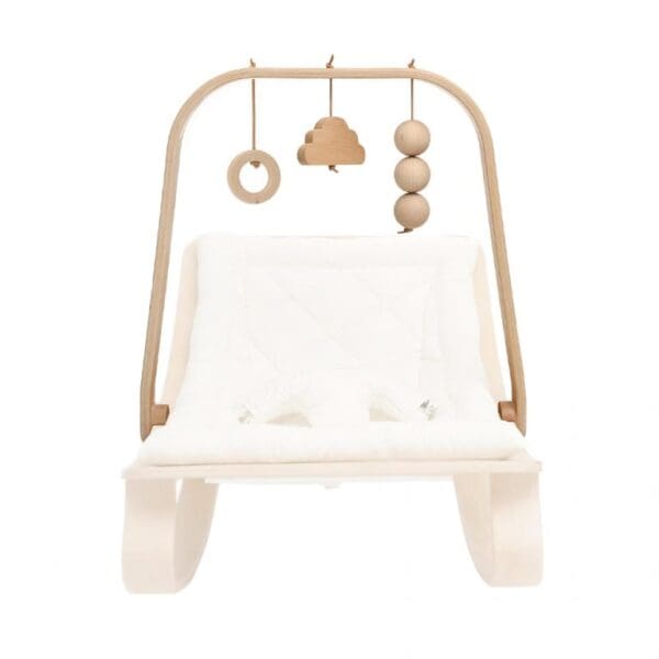 Baby Bouncer Accessories