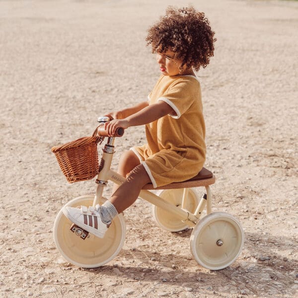 Trike Bikes