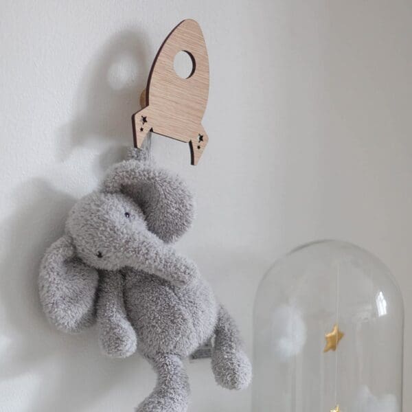 Wall Hooks